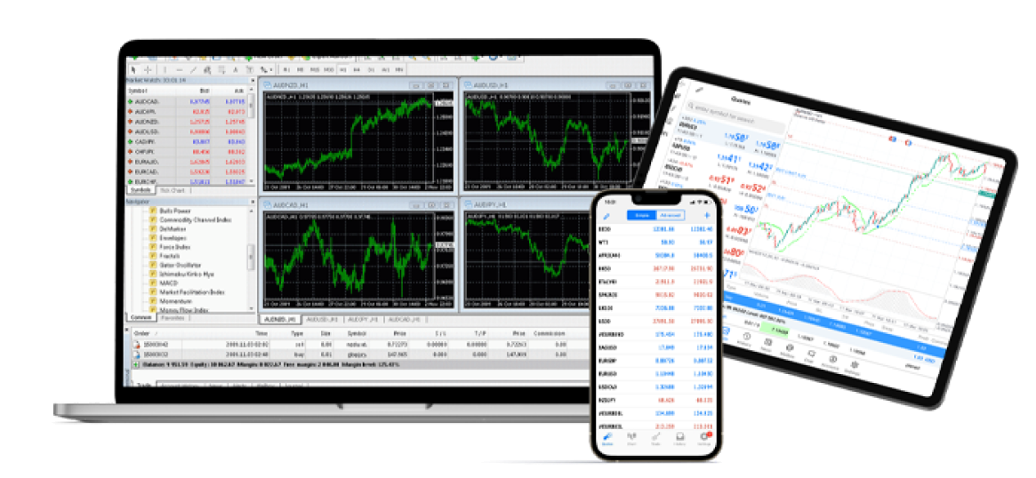 Forex Web Platform
